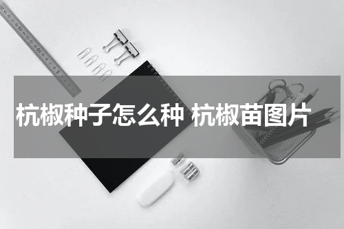 杭椒种子怎么种 杭椒苗图片