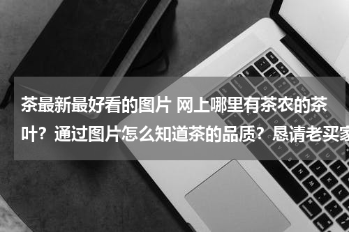 茶最新最好看的图片 网上哪里有茶农的茶叶？通过图片怎么知道茶的品质？恳请老买家做一下推荐。谢谢