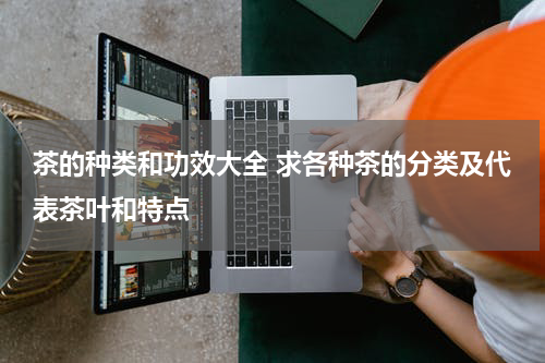 茶的种类和功效大全 求各种茶的分类及代表茶叶和特点