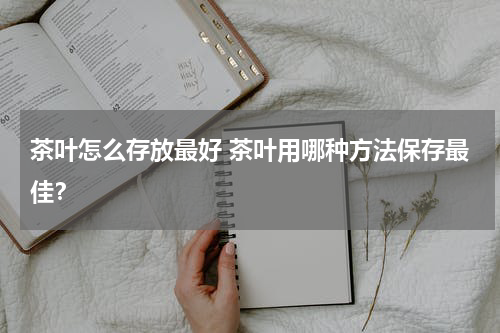 茶叶怎么存放最好 茶叶用哪种方法保存最佳？