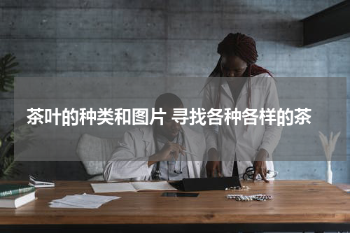 茶叶的种类和图片 寻找各种各样的茶