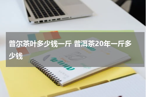 普尔茶叶多少钱一斤 普洱茶20年一斤多少钱