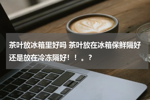 茶叶放冰箱里好吗 茶叶放在冰箱保鲜隔好还是放在冷冻隔好！！。？