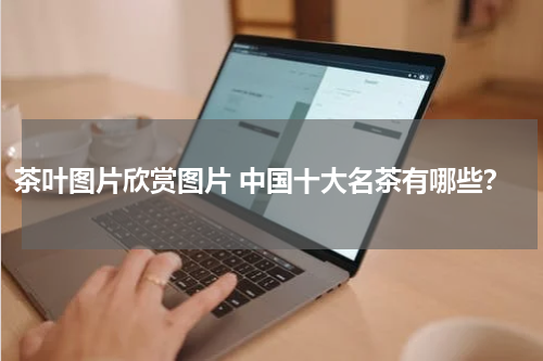 茶叶图片欣赏图片 中国十大名茶有哪些？