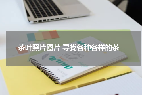 茶叶照片图片 寻找各种各样的茶