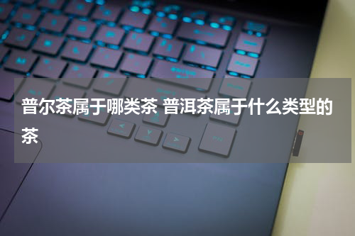 普尔茶属于哪类茶 普洱茶属于什么类型的茶