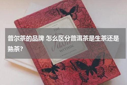 普尔茶的品牌 怎么区分普洱茶是生茶还是熟茶？