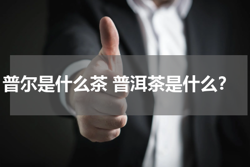 普尔是什么茶 普洱茶是什么？
