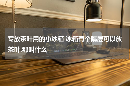 专放茶叶用的小冰箱 冰箱有个隔层可以放茶叶,那叫什么
