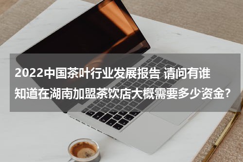 2022中国茶叶行业发展报告 请问有谁知道在湖南加盟茶饮店大概需要多少资金？