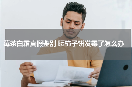 莓茶白霜真假鉴别 晒柿子饼发霉了怎么办