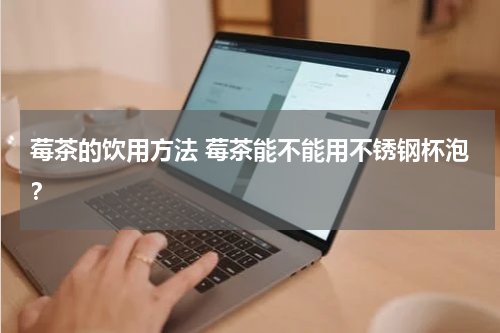 莓茶的饮用方法 莓茶能不能用不锈钢杯泡？