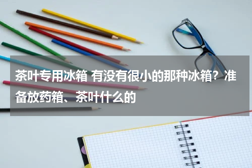 茶叶专用冰箱 有没有很小的那种冰箱？准备放药箱、茶叶什么的