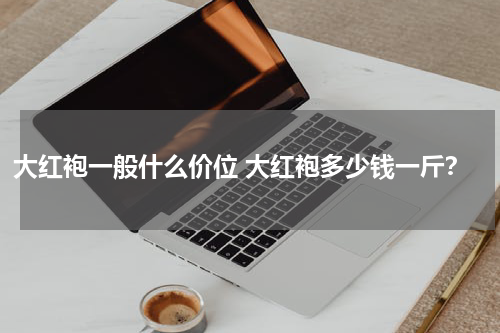 大红袍一般什么价位 大红袍多少钱一斤？