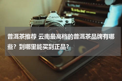 普洱茶推荐 云南最高档的普洱茶品牌有哪些？到哪里能买到正品？
