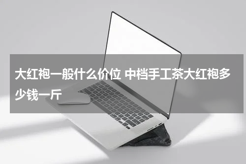 大红袍一般什么价位 中档手工茶大红袍多少钱一斤