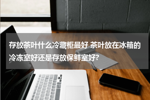 存放茶叶什么冷藏柜最好 茶叶放在冰箱的冷冻室好还是存放保鲜室好?