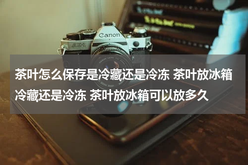 茶叶怎么保存是冷藏还是冷冻 茶叶放冰箱冷藏还是冷冻 茶叶放冰箱可以放多久
