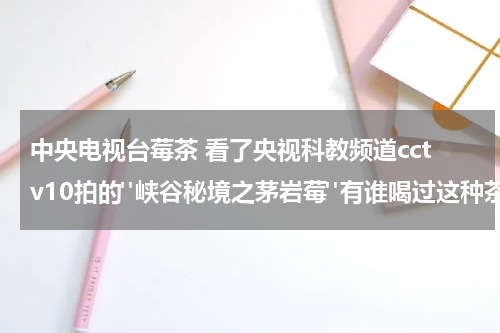 中央电视台莓茶 看了央视科教频道cctv10拍的"峡谷秘境之茅岩莓"有谁喝过这种茶，真有那么好吗？