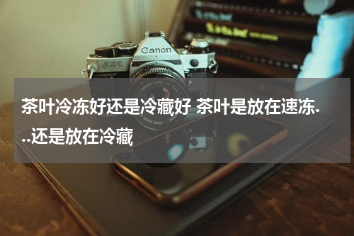 茶叶冷冻好还是冷藏好 茶叶是放在速冻...还是放在冷藏
