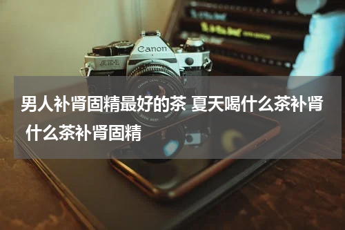 男人补肾固精最好的茶 夏天喝什么茶补肾 什么茶补肾固精