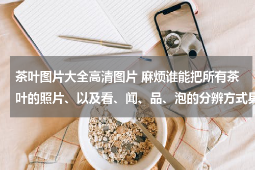 茶叶图片大全高清图片 麻烦谁能把所有茶叶的照片、以及看、闻、品、泡的分辨方式具体提供下！