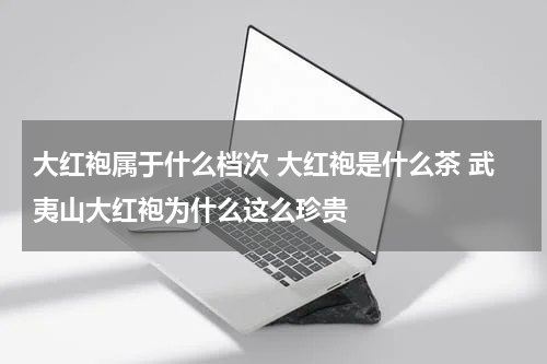 大红袍属于什么档次 大红袍是什么茶 武夷山大红袍为什么这么珍贵