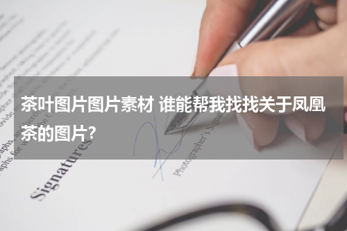 茶叶图片图片素材 谁能帮我找找关于凤凰茶的图片？