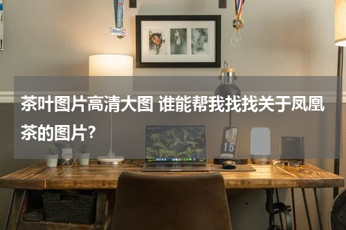 茶叶图片高清大图 谁能帮我找找关于凤凰茶的图片？