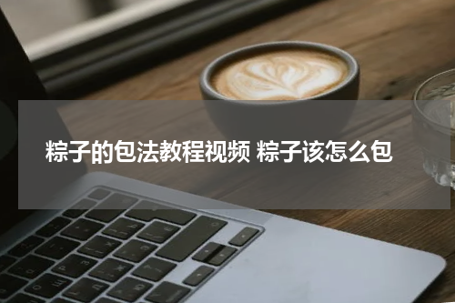 粽子的包法教程视频 粽子该怎么包