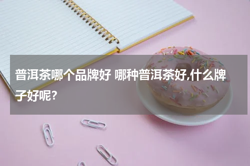 普洱茶哪个品牌好 哪种普洱茶好,什么牌子好呢？