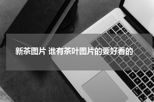 新茶图片 谁有茶叶图片的要好看的