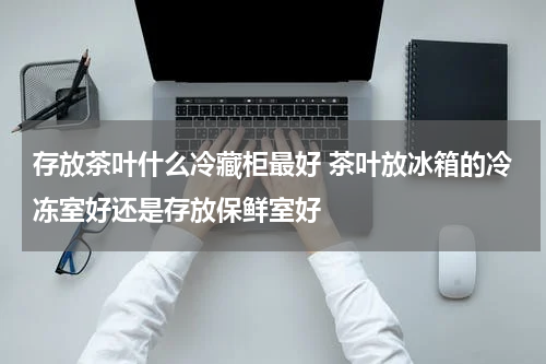 存放茶叶什么冷藏柜最好 茶叶放冰箱的冷冻室好还是存放保鲜室好