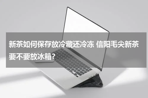 新茶如何保存放冷藏还冷冻 信阳毛尖新茶要不要放冰箱？