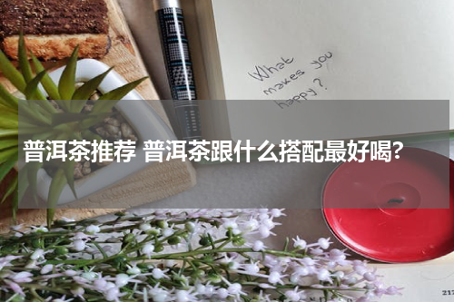 普洱茶推荐 普洱茶跟什么搭配最好喝?