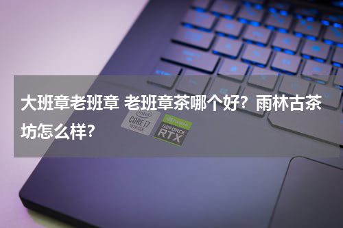 大班章老班章 老班章茶哪个好？雨林古茶坊怎么样？