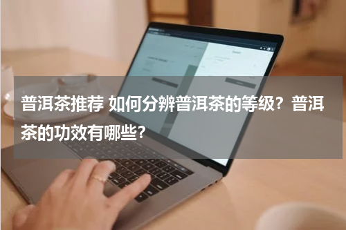 普洱茶推荐 如何分辨普洱茶的等级？普洱茶的功效有哪些？