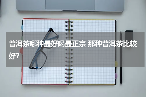 普洱茶哪种最好喝最正宗 那种普洱茶比较好？