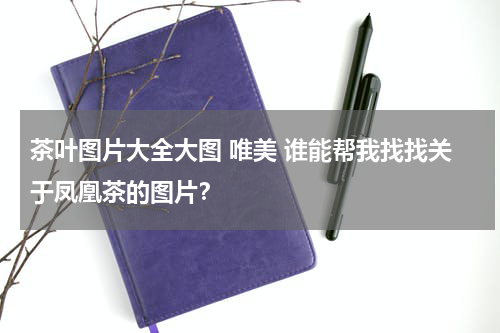 茶叶图片大全大图 唯美 谁能帮我找找关于凤凰茶的图片？