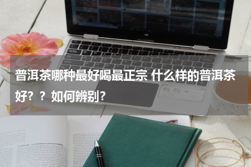 普洱茶哪种最好喝最正宗 什么样的普洱茶好？？如何辨别？