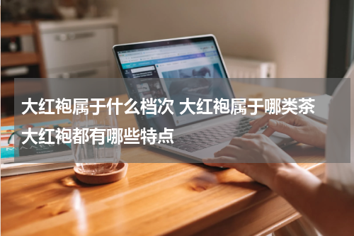 大红袍属于什么档次 大红袍属于哪类茶 大红袍都有哪些特点