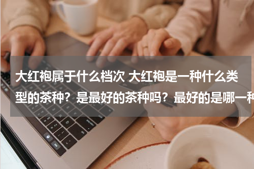 大红袍属于什么档次 大红袍是一种什么类型的茶种？是最好的茶种吗？最好的是哪一种？