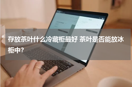 存放茶叶什么冷藏柜最好 茶叶是否能放冰柜中？