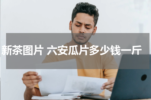 新茶图片 六安瓜片多少钱一斤
