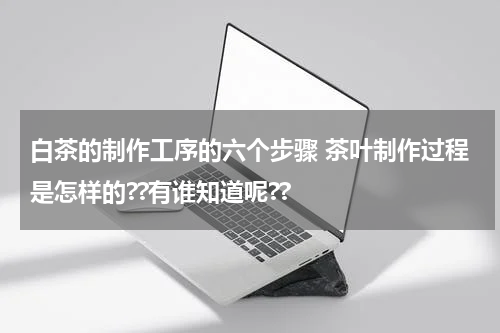 白茶的制作工序的六个步骤 茶叶制作过程是怎样的??有谁知道呢??