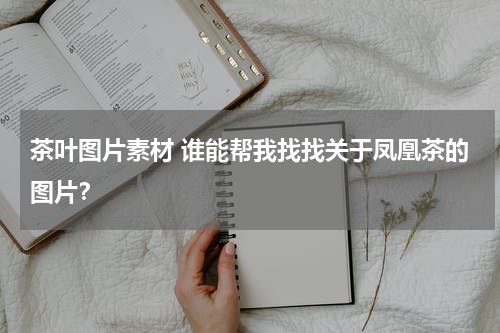 茶叶图片素材 谁能帮我找找关于凤凰茶的图片？