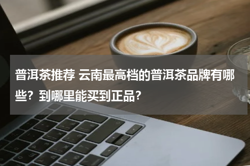 普洱茶推荐 云南最高档的普洱茶品牌有哪些？到哪里能买到正品？