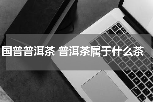 国普普洱茶 普洱茶属于什么茶