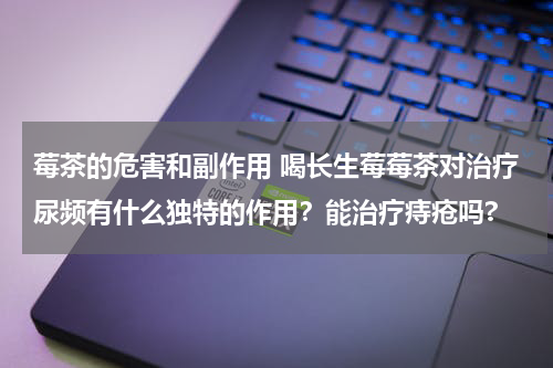 莓茶的危害和副作用 喝长生莓莓茶对治疗尿频有什么独特的作用？能治疗痔疮吗?
