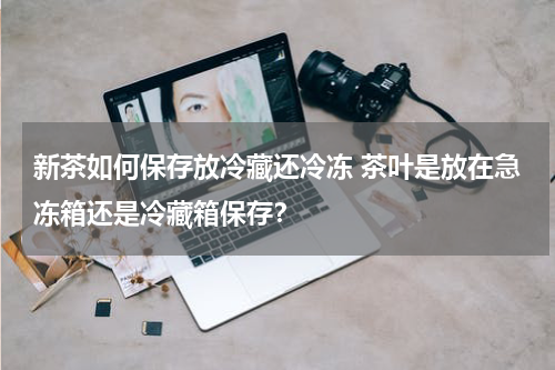 新茶如何保存放冷藏还冷冻 茶叶是放在急冻箱还是冷藏箱保存？